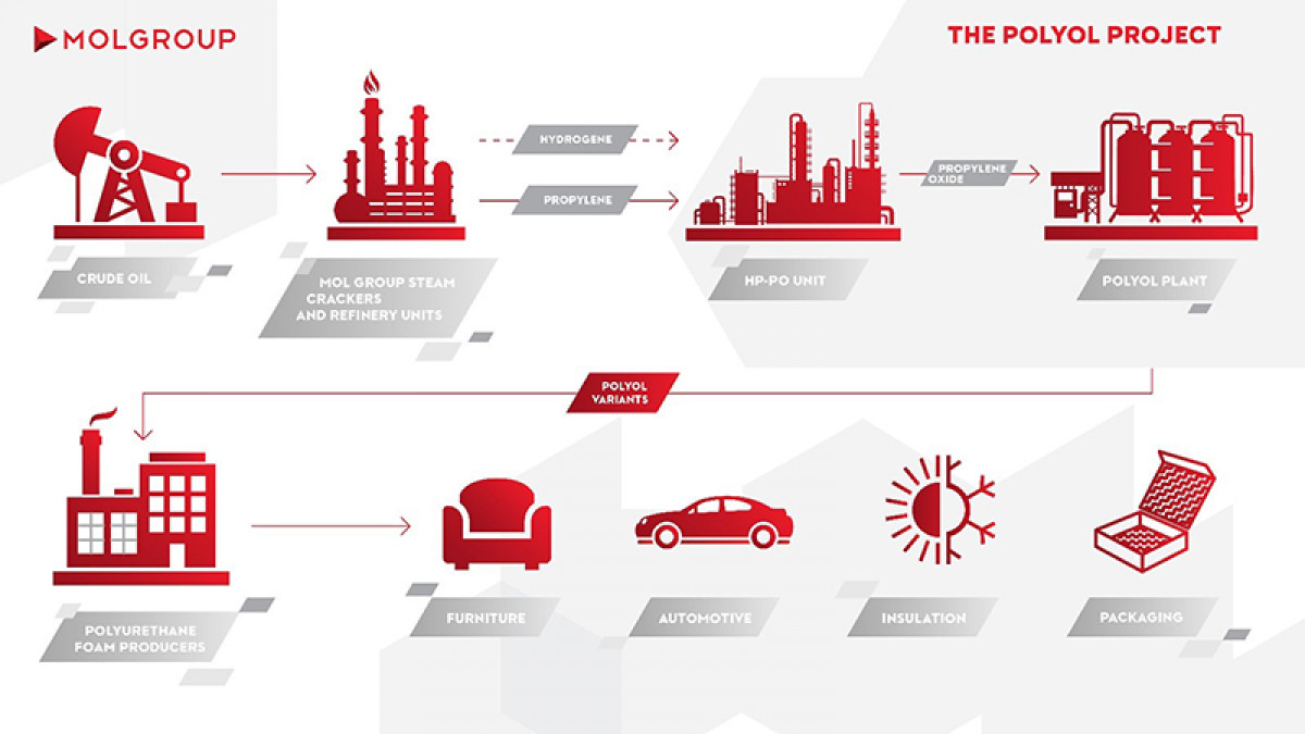 the_polyol_project-wvp15uei0a.jpg